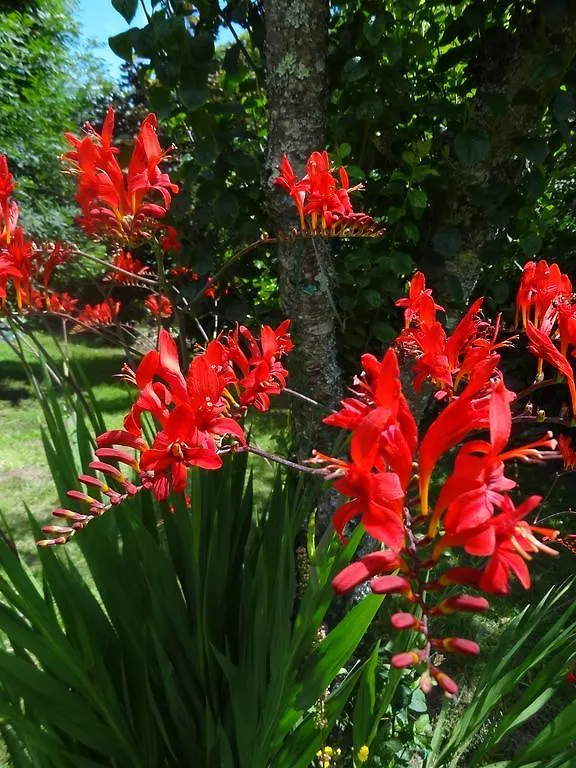 Villa Roulotte Bigoudenne à Tréméoc Hébergement de vacances